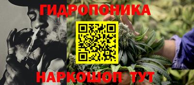 mdpv Заводоуковск