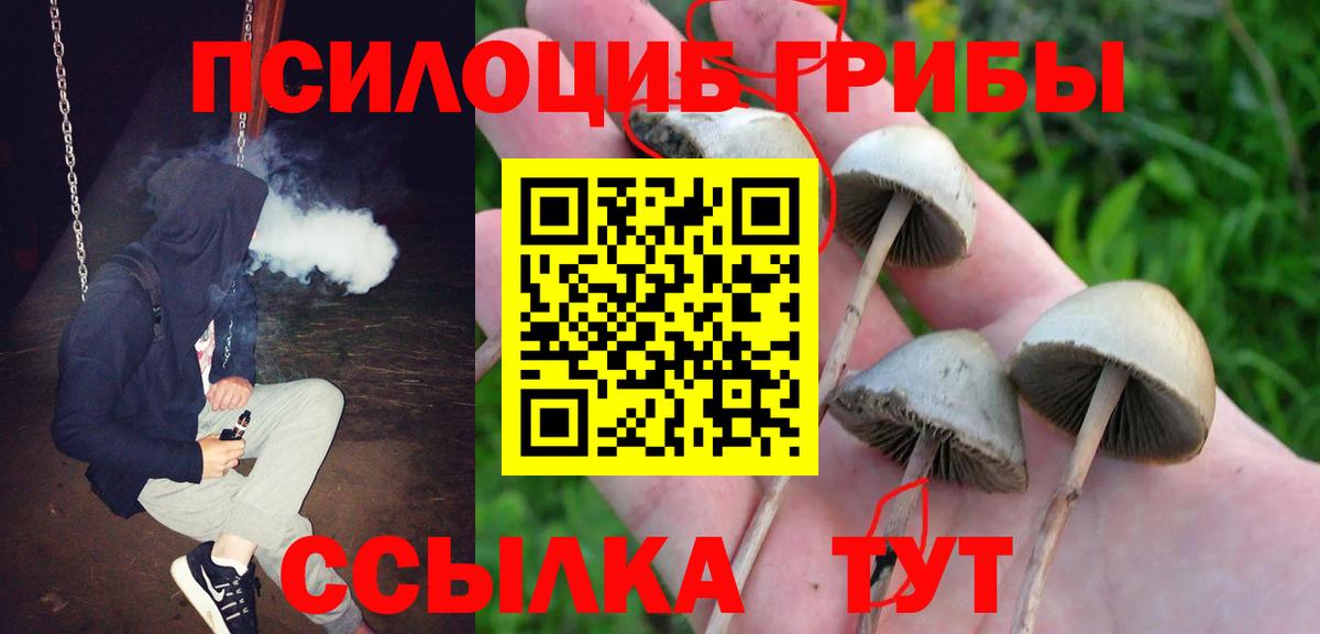 Псилоцибиновые грибы MAGIC MUSHROOMS Коломна