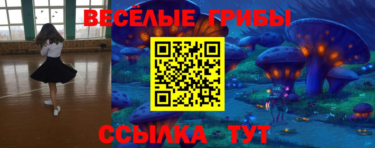Коломна  Галлюциногенные грибы прущие грибы  дарнет шоп  Вход с VPN  Псилоцибиновые грибы Psilocybine cubensis 
